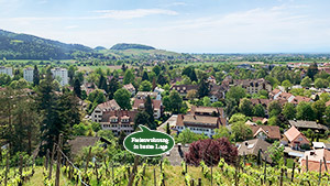 5 Minuten in die Altstadt und direkt am Weinberg gelegen